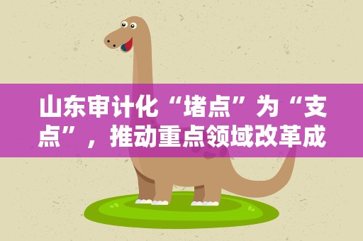 山东审计化“堵点”为“支点”，推动重点领域改革成效显