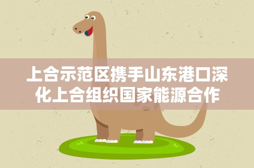 上合示范区携手山东港口深化上合组织国家能源合作