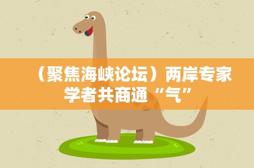 （聚焦海峡论坛）两岸专家学者共商通“气”