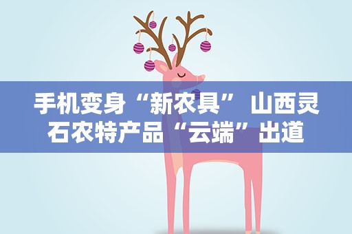 手机变身“新农具” 山西灵石农特产品“云端”出道
