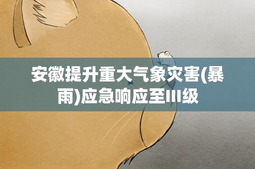安徽提升重大气象灾害(暴雨)应急响应至III级