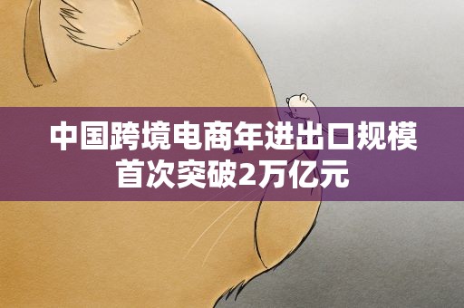 中国跨境电商年进出口规模首次突破2万亿元