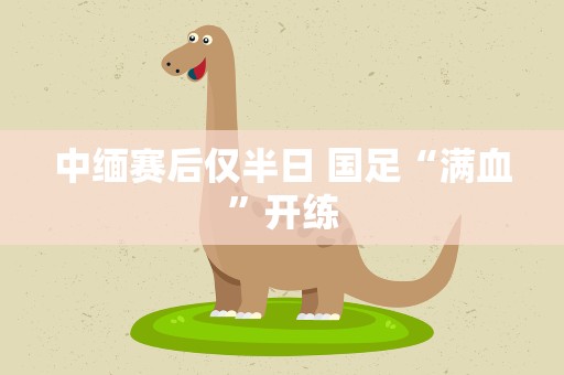 中缅赛后仅半日 国足“满血”开练
