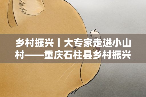 乡村振兴丨大专家走进小山村——重庆石柱县乡村振兴见闻