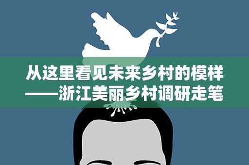 从这里看见未来乡村的模样——浙江美丽乡村调研走笔
