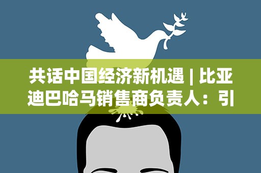 共话中国经济新机遇 | 比亚迪巴哈马销售商负责人：引入中国品牌为巴哈马电动汽车发展开辟新赛道