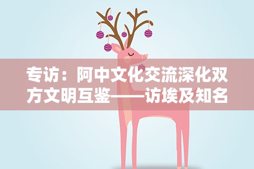 专访：阿中文化交流深化双方文明互鉴——访埃及知名汉学家法尔贾尼