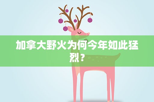 加拿大野火为何今年如此猛烈？