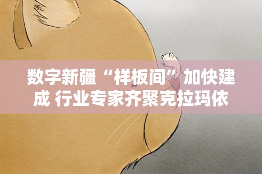 数字新疆“样板间”加快建成 行业专家齐聚克拉玛依围“数”建言