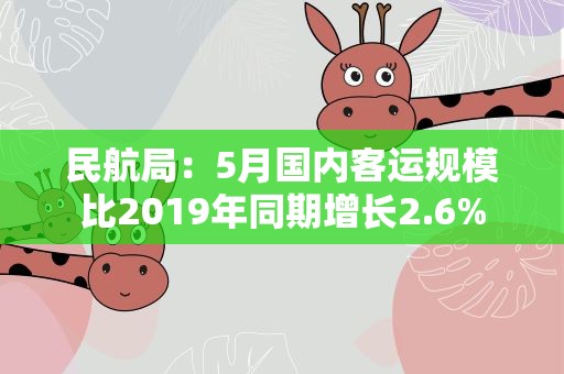 民航局：5月国内客运规模比2019年同期增长2.6%
