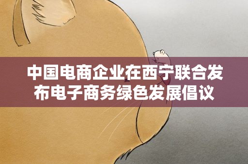 中国电商企业在西宁联合发布电子商务绿色发展倡议