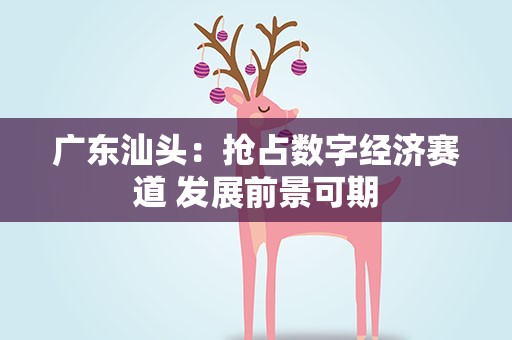 广东汕头：抢占数字经济赛道 发展前景可期