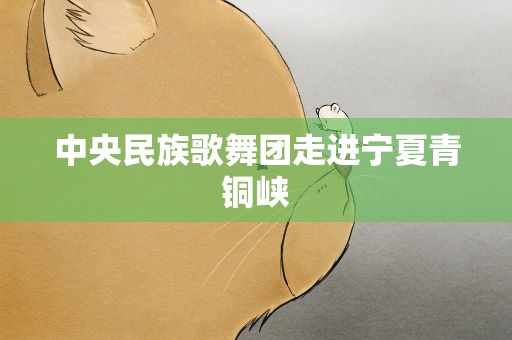 中央民族歌舞团走进宁夏青铜峡