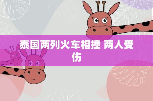 泰国两列火车相撞 两人受伤