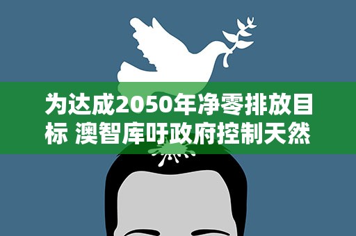 为达成2050年净零排放目标 澳智库吁政府控制天然气使用