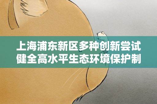 上海浦东新区多种创新尝试健全高水平生态环境保护制度