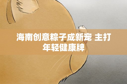海南创意粽子成新宠 主打年轻健康牌