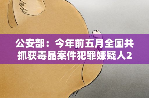 公安部：今年前五月全国共抓获毒品案件犯罪嫌疑人2.7万名