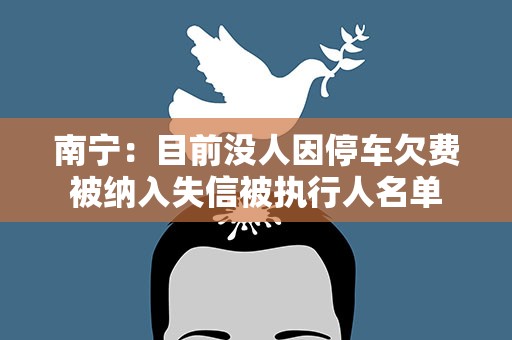 南宁：目前没人因停车欠费被纳入失信被执行人名单