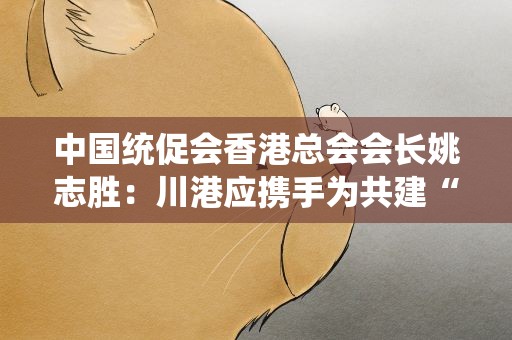 中国统促会香港总会会长姚志胜：川港应携手为共建“一带一路”献力