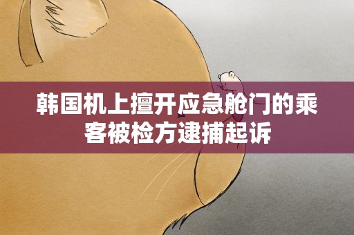 韩国机上擅开应急舱门的乘客被检方逮捕起诉