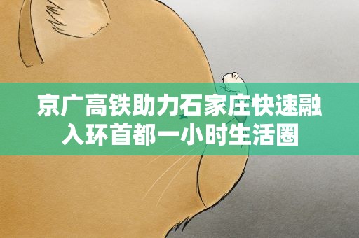 京广高铁助力石家庄快速融入环首都一小时生活圈