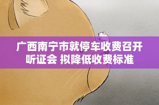 广西南宁市就停车收费召开听证会 拟降低收费标准