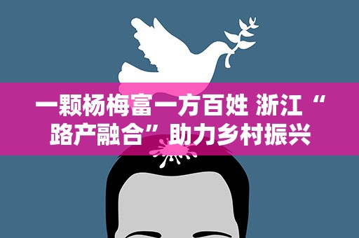 一颗杨梅富一方百姓 浙江“路产融合”助力乡村振兴