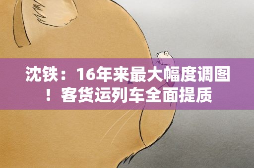 沈铁：16年来最大幅度调图！客货运列车全面提质