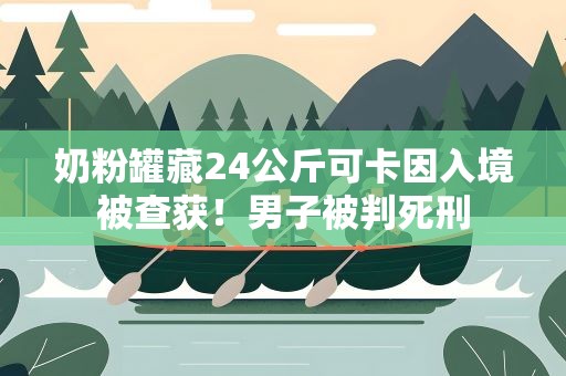 奶粉罐藏24公斤可卡因入境被查获！男子被判死刑