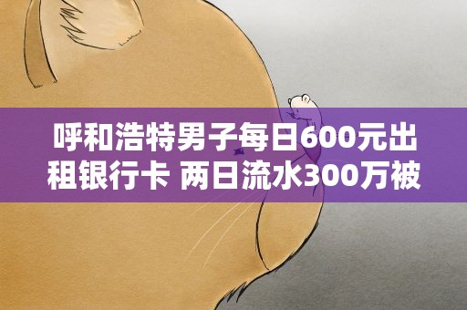 呼和浩特男子每日600元出租银行卡 两日流水300万被抓
