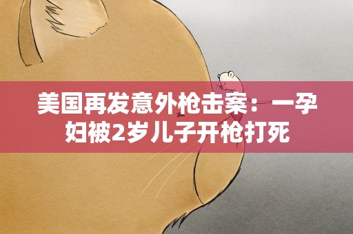美国再发意外枪击案：一孕妇被2岁儿子开枪打死