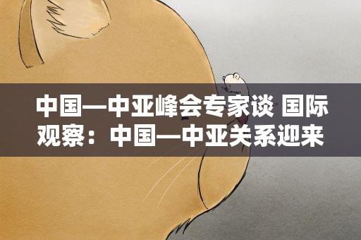 中国—中亚峰会专家谈 国际观察：中国—中亚关系迎来新时代