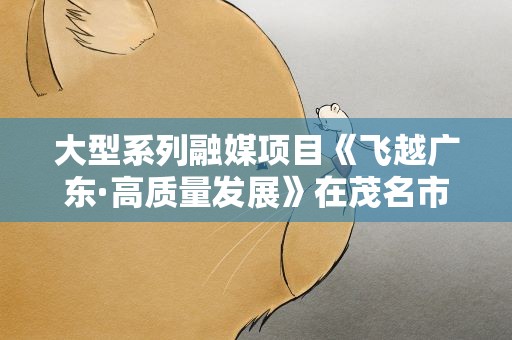 大型系列融媒项目《飞越广东·高质量发展》在茂名市启动