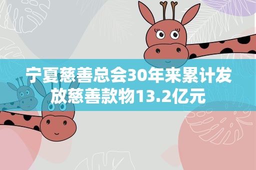 宁夏慈善总会30年来累计发放慈善款物13.2亿元