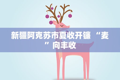 新疆阿克苏市夏收开镰 “麦”向丰收