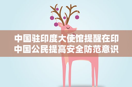 中国驻印度大使馆提醒在印中国公民提高安全防范意识