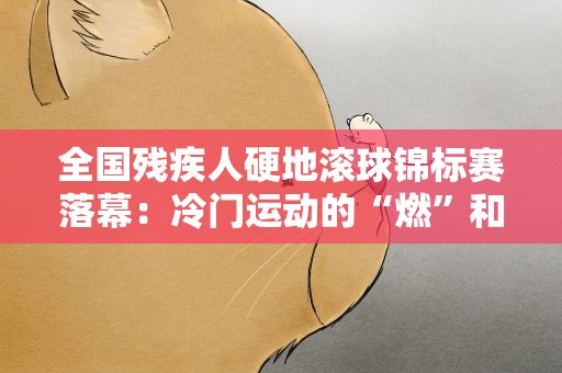 全国残疾人硬地滚球锦标赛落幕：冷门运动的“燃”和“暖”