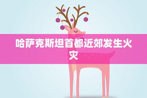 哈萨克斯坦首都近郊发生火灾