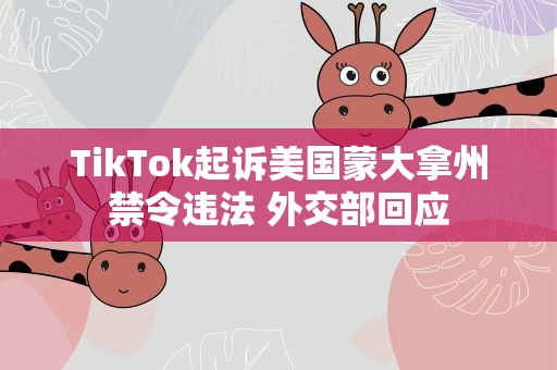 TikTok起诉美国蒙大拿州禁令违法 外交部回应