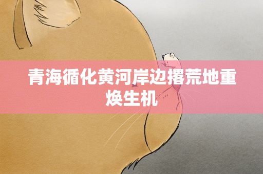 青海循化黄河岸边撂荒地重焕生机
