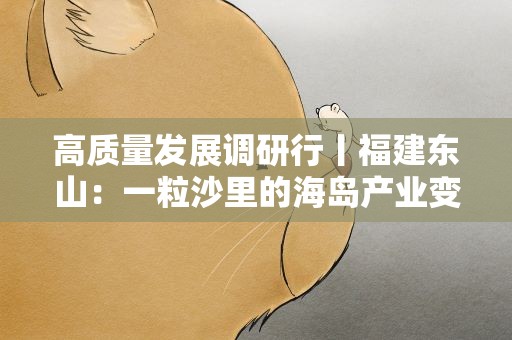 高质量发展调研行丨福建东山：一粒沙里的海岛产业变迁