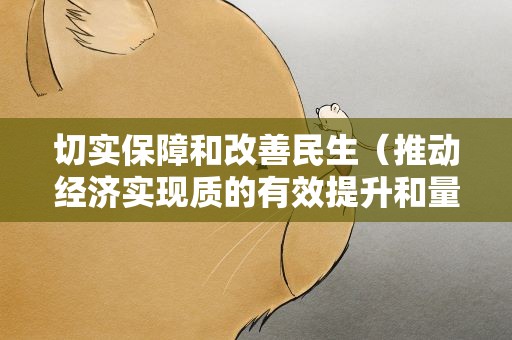 切实保障和改善民生（推动经济实现质的有效提升和量的合理增长）
