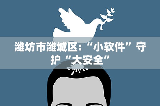 潍坊市潍城区:“小软件”守护“大安全”