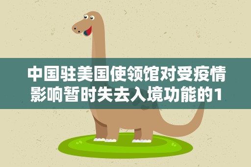 中国驻美国使领馆对受疫情影响暂时失去入境功能的10年多次签证给予补偿