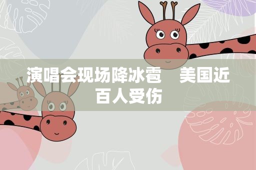 演唱会现场降冰雹　美国近百人受伤