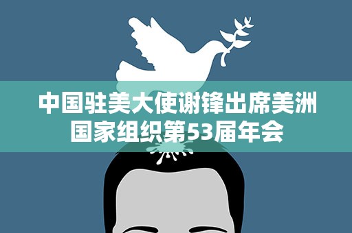 中国驻美大使谢锋出席美洲国家组织第53届年会