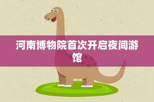 河南博物院首次开启夜间游馆