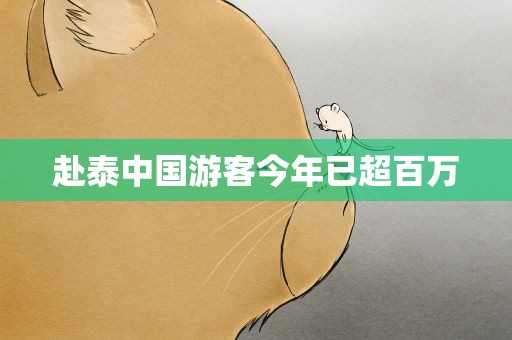 赴泰中国游客今年已超百万