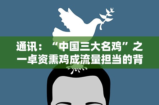 通讯：“中国三大名鸡”之一卓资熏鸡成流量担当的背后